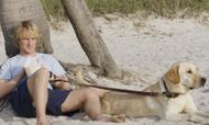 Marley & Me (2008), Image Source - 20th Century Fox